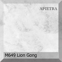 m649_lion_gong