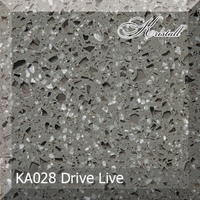 ka028_drive_live
